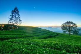 Tips Berkendara Aman di Musim Hujan